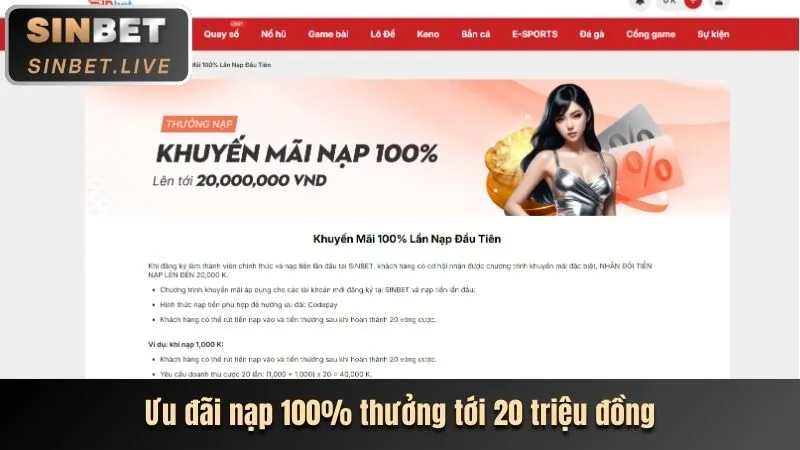 Cá cược quần vợt tại vswin111